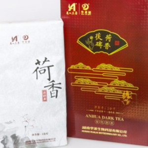 โลตัส fuzhuan หอมชาหูหนาน ahhua ชาดำชาการดูแลสุขภาพ